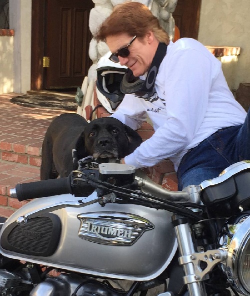 Barry Van Dyke got caught taking his dog in a ride on his motorcycle.