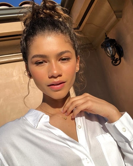 6 Facts About Austin Stoermer Coleman Zendaya Coleman's Half Sibling ...