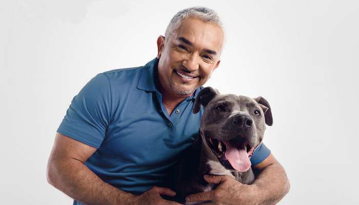 famous dog trainer cesar
