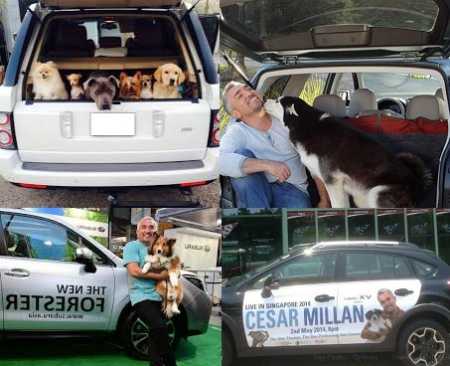 Cesar Millan's Other Cars and SUVs