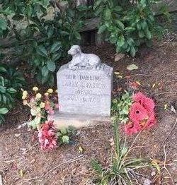 Picture of Larry Parton's Grave