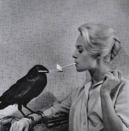 Tippi Hedren, a retired American actress, initially gained fame as a fashion model and graced the covers of prestigious magazines like Life and Glamour.