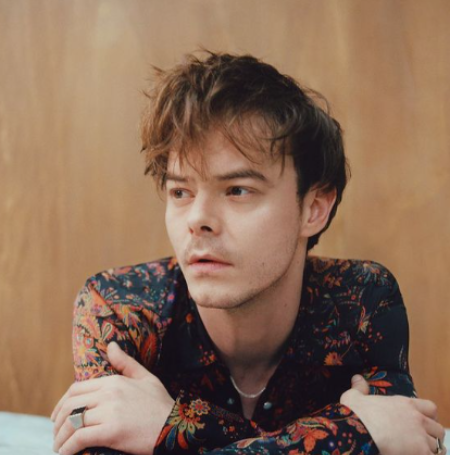 The Story of Archie Heaton: Charlie Heaton's Son and His Amazing World ...